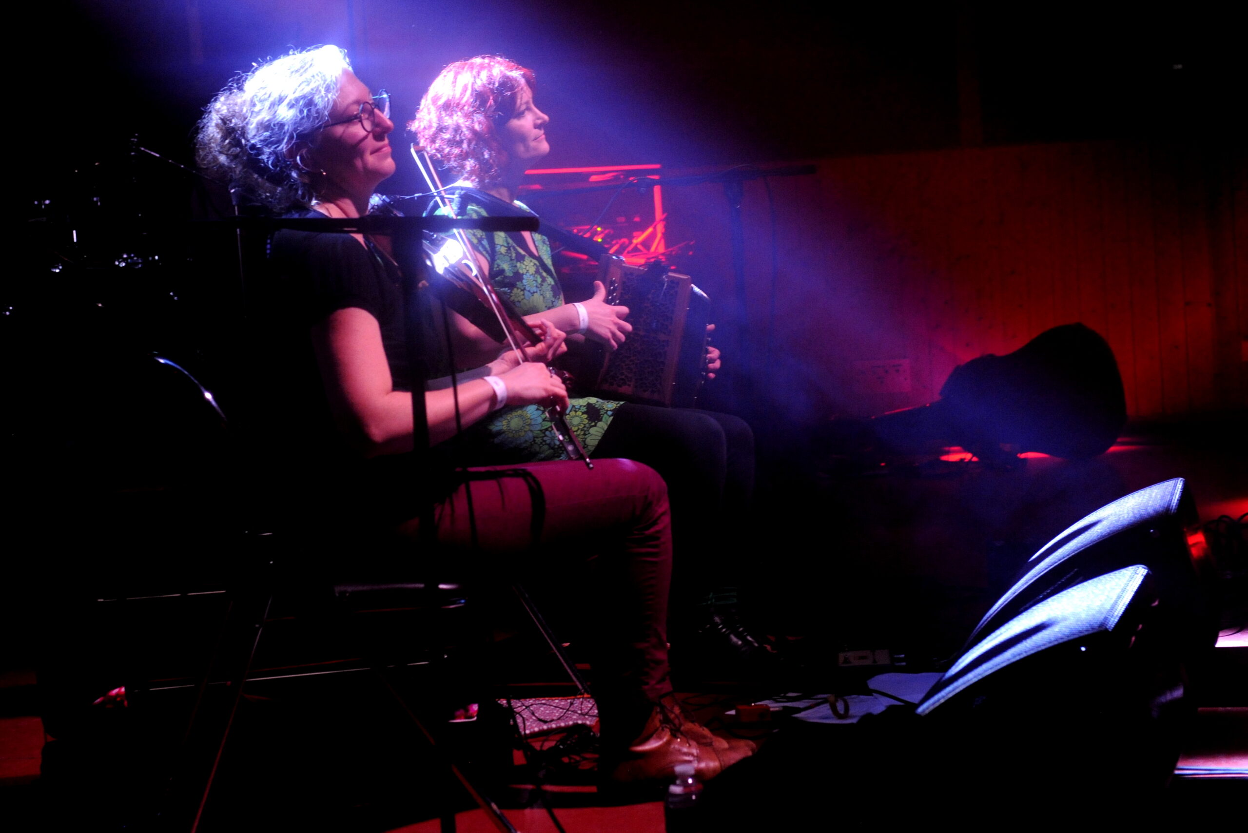 Photo des deux musiciennes en concert